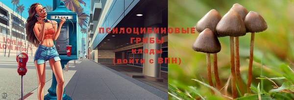 не бодяженный Белокуриха