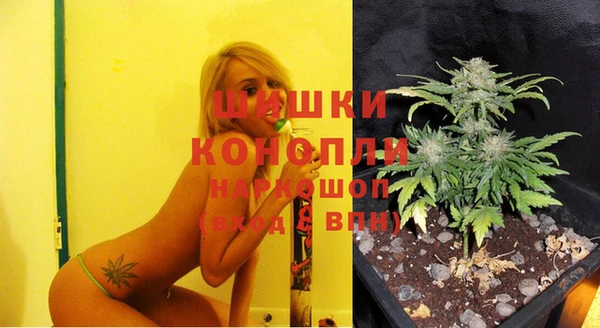 spice Беломорск
