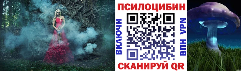 Псилоцибиновые грибы Psilocybe  Туймазы 